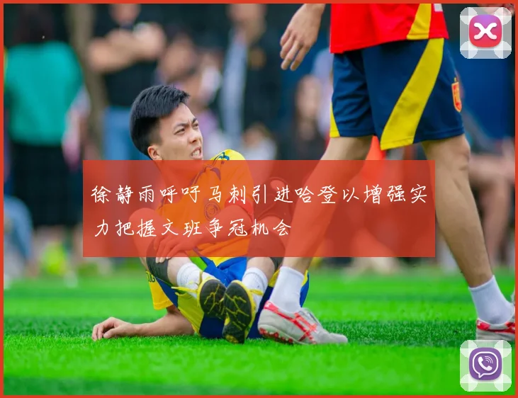徐静雨呼吁马刺引进哈登以增强实力把握文班争冠机会