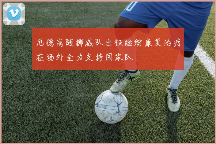 厄德高随挪威队出征继续康复治疗在场外全力支持国家队